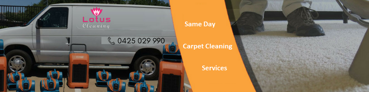 Dry Carpet Cleaning Endeavour Hills