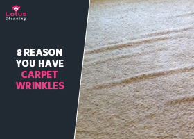 8-Reason-You-Have-Carpet-Wrinkles
