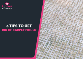 6-Tips-to-Get-Rid-of-Carpet-Mould