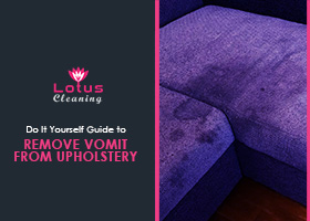 Do-It-Yourself-Guide-to-Remove-Vomit-from-Upholstery