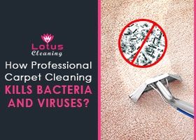 How-Professional-Carpet-Cleaning-Kills-Bacteria-and-Viruses