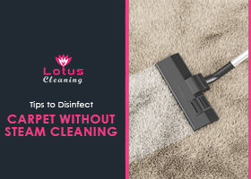 Tips-to-Disinfect-Carpet-without-Steam-Cleaning