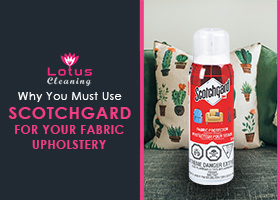 Why-You-Must-Use-Scotchgard-for-Your-Fabric-Upholstery
