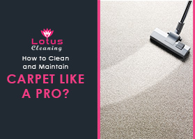 How-to-Clean-and-Maintain-Carpet-Like-a-Pro