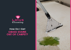 How-Do-I-Get-Grass-Stains-Out-Of-Carpet