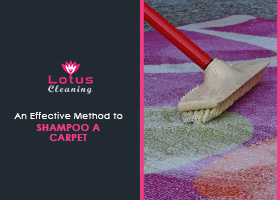An-Effective-Method-to-Shampoo-a-Carpet