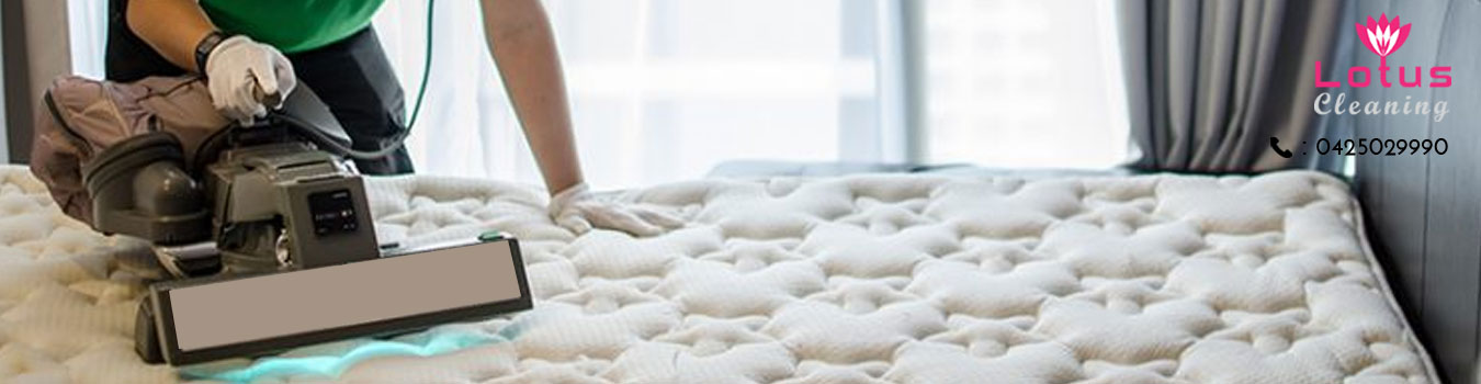 professional mattress cleaning Bayswater North